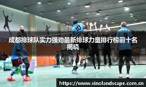成都排球队实力强劲最新排球力量排行榜前十名揭晓