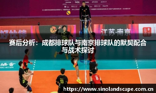 赛后分析：成都排球队与南京排球队的默契配合与战术探讨