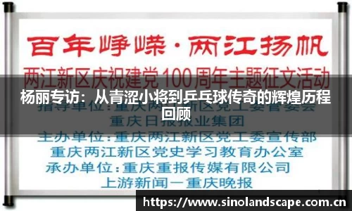 杨丽专访：从青涩小将到乒乓球传奇的辉煌历程回顾