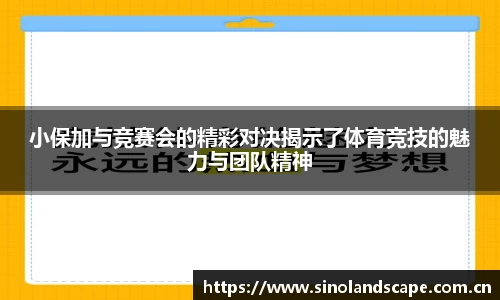 xk体育官网