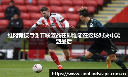 xk体育官网