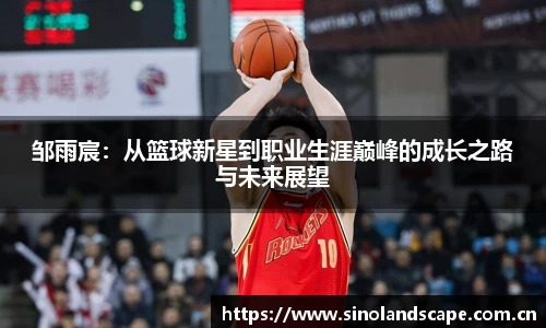 xk体育官网