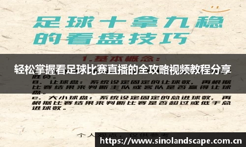 xk体育官网