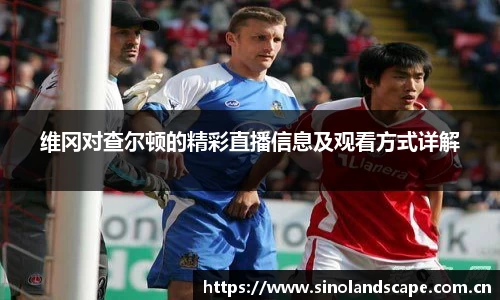 xk体育官网